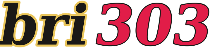 bri303 logo